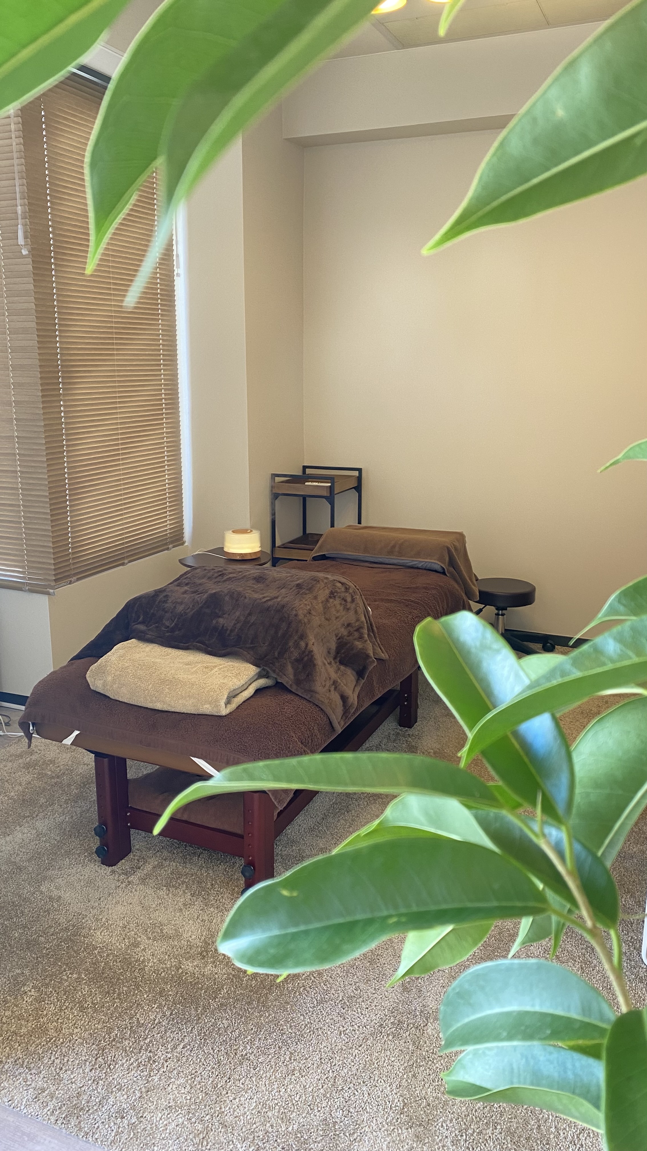 植物越しの施術ベッド